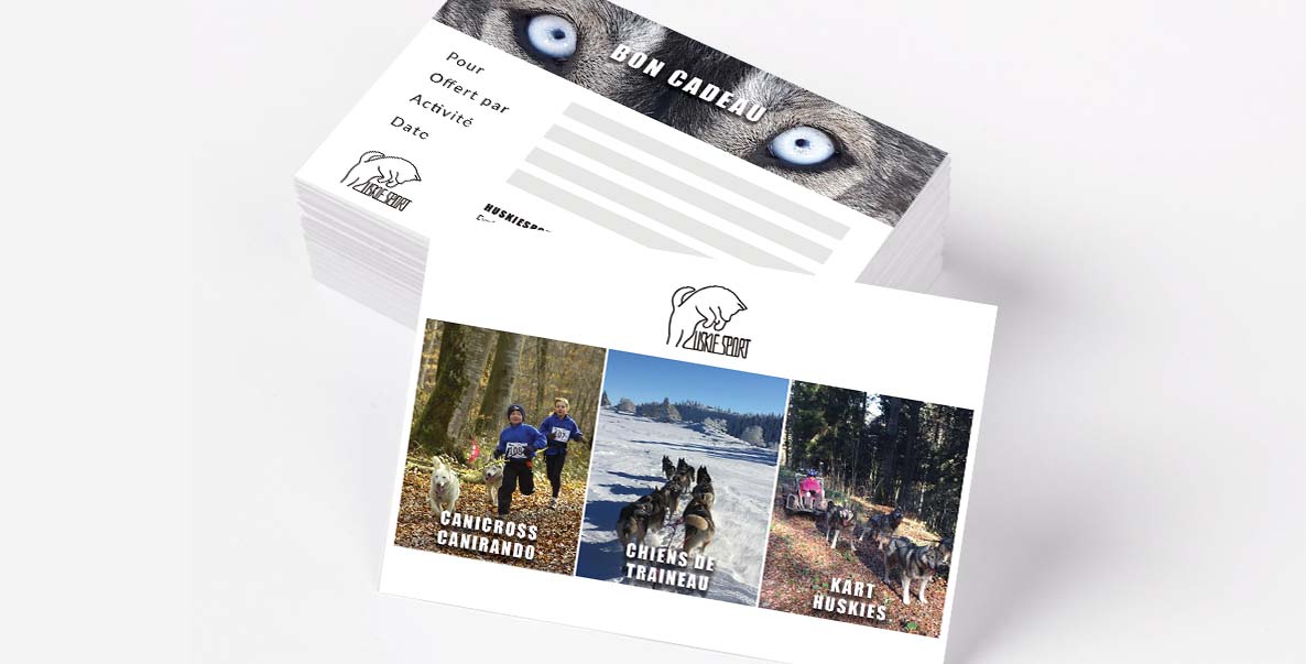 realisation web4com bons huskiesport