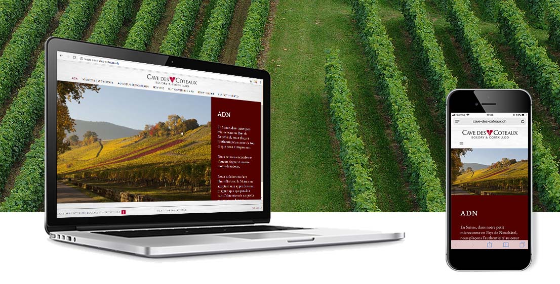 realisation web4com cave des coteaux